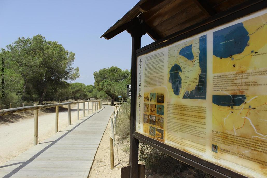 Apartamento Maximo La Mata La Mata  Exterior foto
